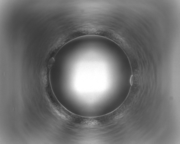 X0000073930642200608111201