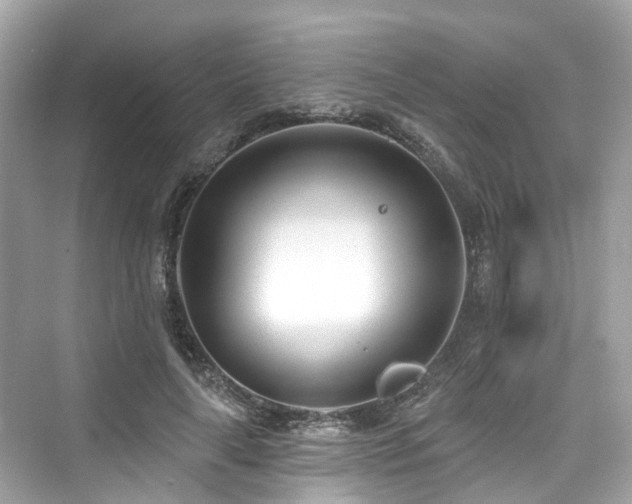 X0000073930643200608111201