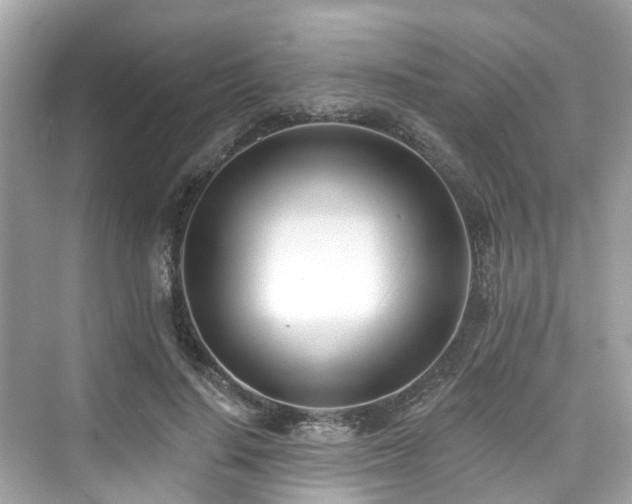 X0000073930644200608111201