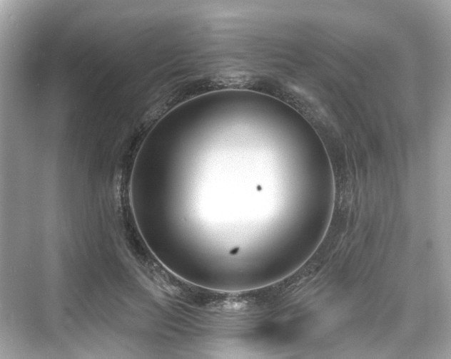 X0000073930647200608111201