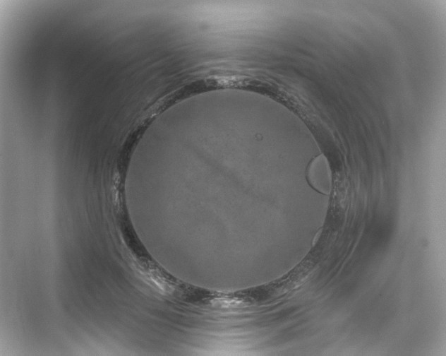 X0000073930650200608111201