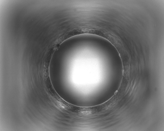 X0000073930653200608111201