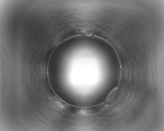 X0000073930657200608111201