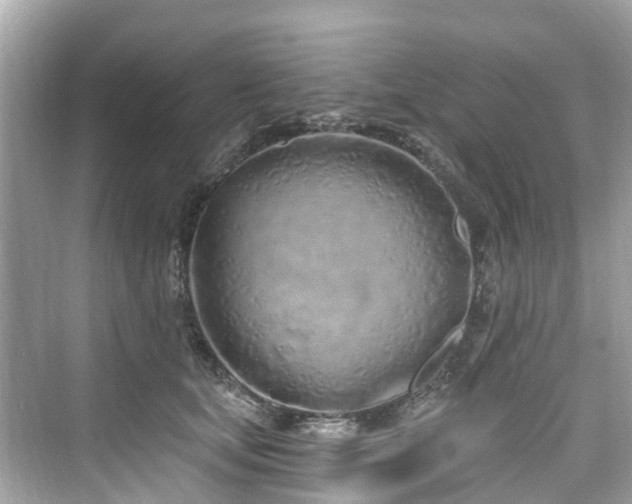 X0000073930659200608111201