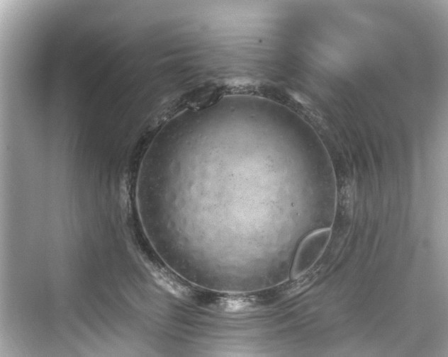 X0000073930662200608111202