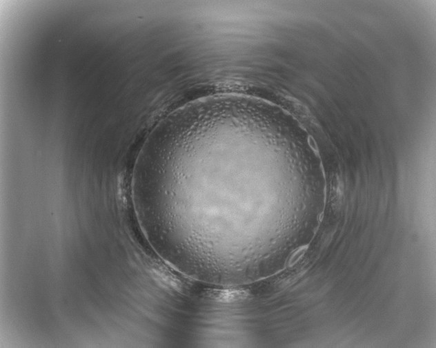 X0000073930663200608111202