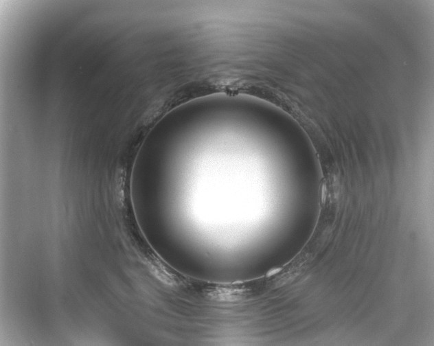 X0000073930664200608111202