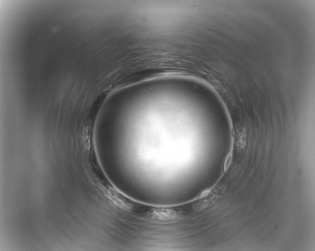 X0000073930666200608111202