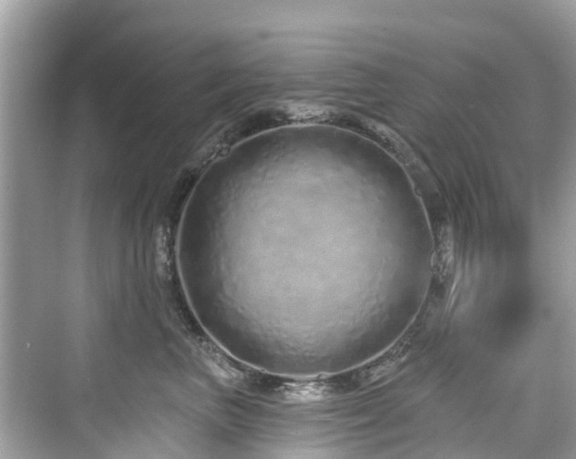 X0000073930667200608111202