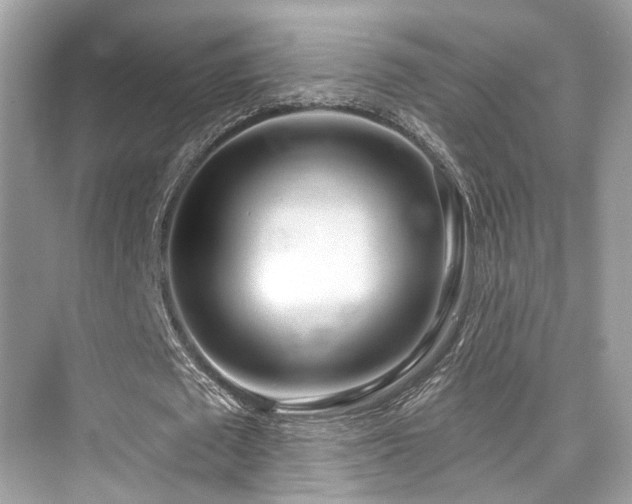 X0000073930673200608111201