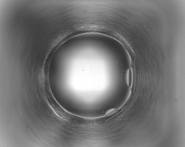 X0000073930674200608111201