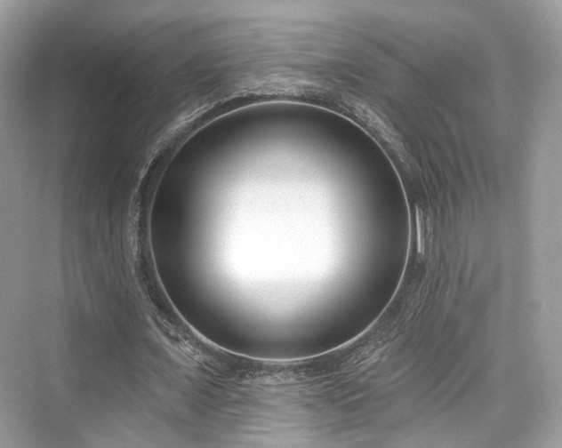 X0000073930675200608111201