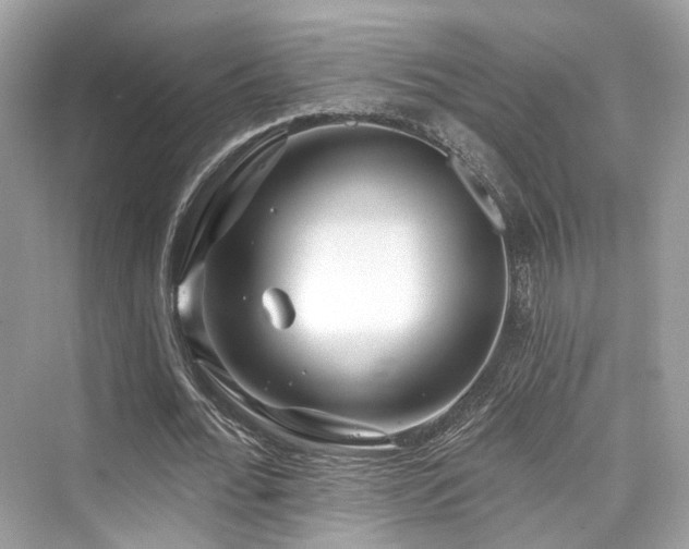 X0000073930676200608111201