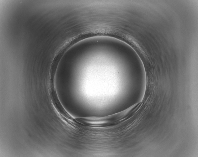 X0000073930677200608111201