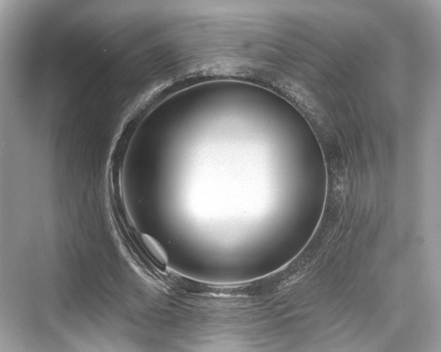 X0000073930678200608111201