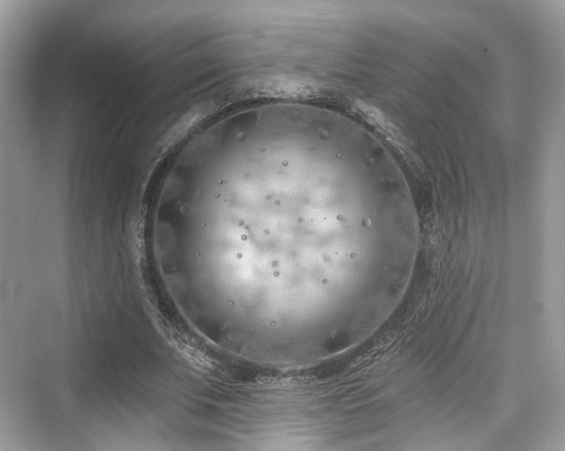 X0000073930679200608111201