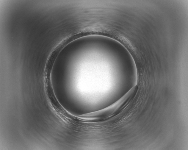 X0000073930680200608111201