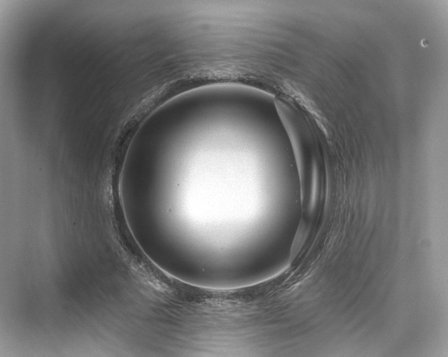 X0000073930681200608111201