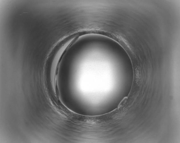 X0000073930684200608111201