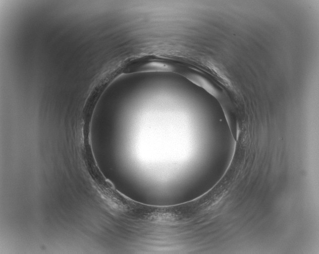 X0000073930685200608111201