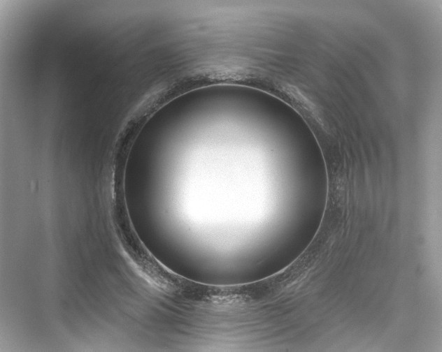 X0000073930686200608111201