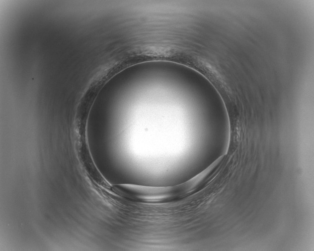 X0000073930688200608111201