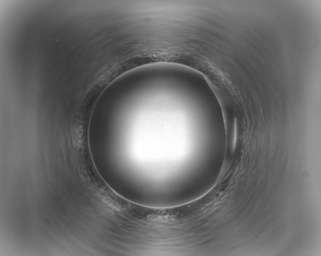 X0000073930689200608111201