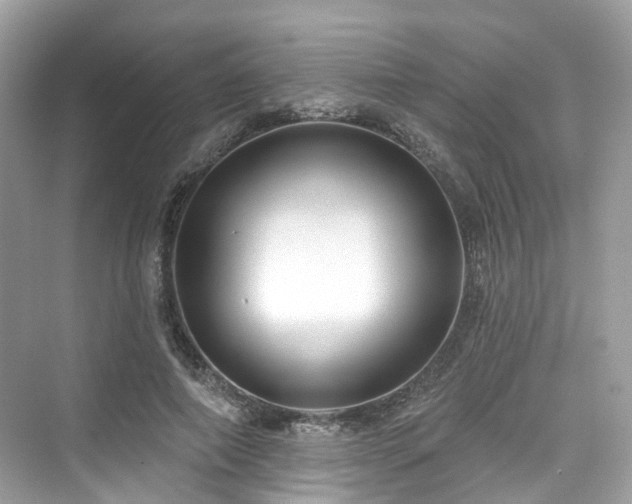 X0000073930690200608111201