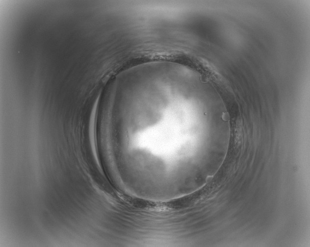 X0000073930695200608111200