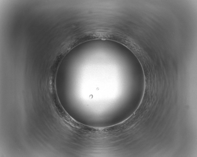 X0000073930696200608111200