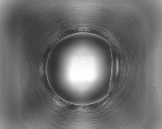 X0000073930697200608111200