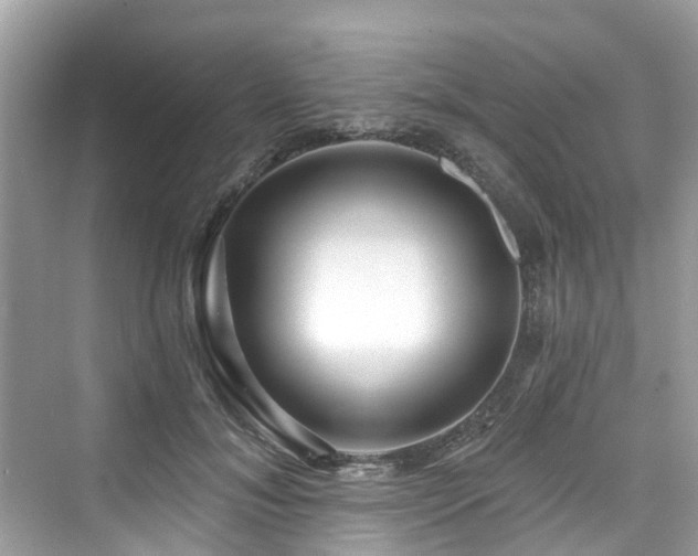 X0000073930700200608111200