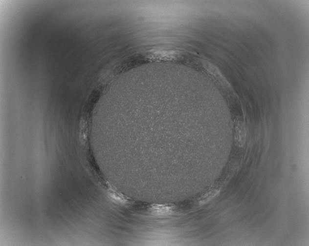 X0000073930701200608111200