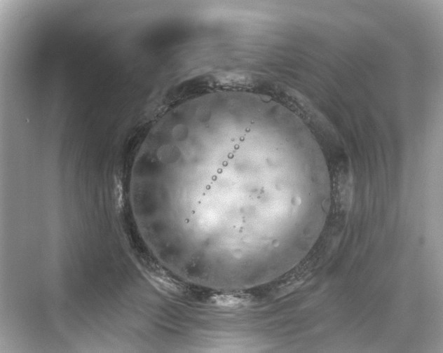 X0000073930703200608111200