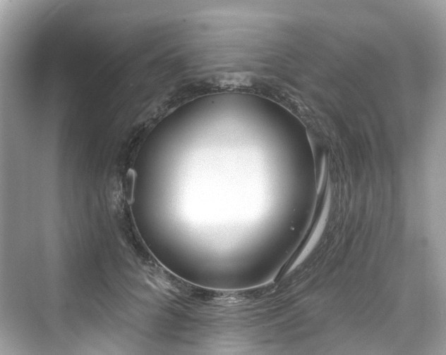 X0000073930704200608111200