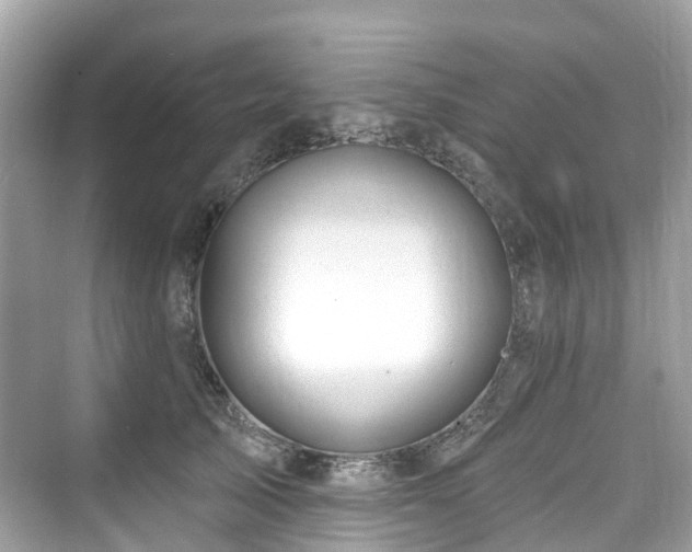 X0000073930705200608111200