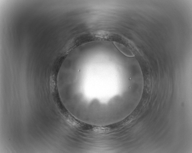 X0000073930707200608111200