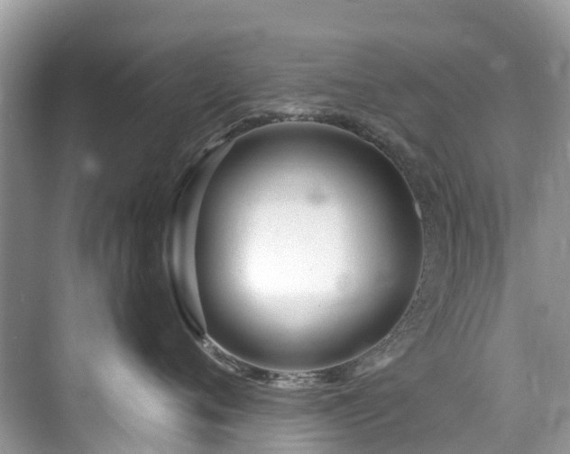 X0000073930720200608111200