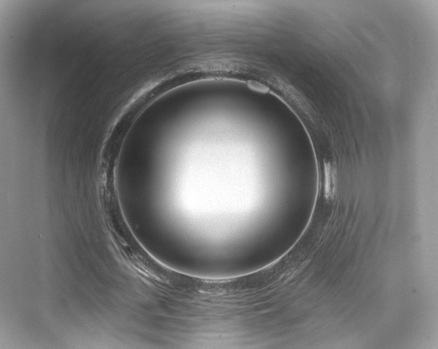 X0000073930723200608111159