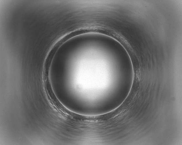 X0000073930724200608111159