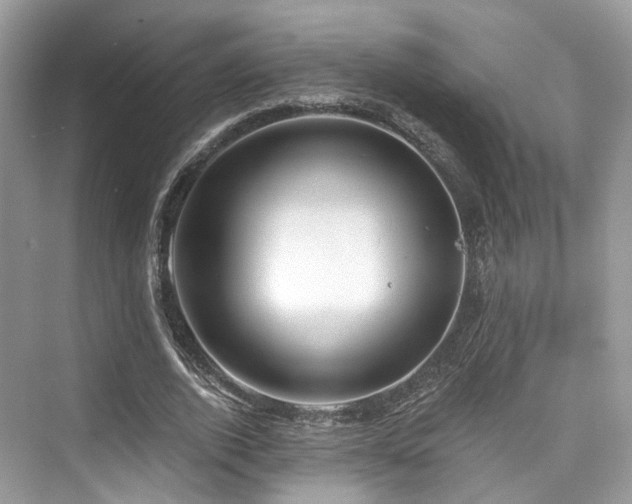 X0000073930728200608111159