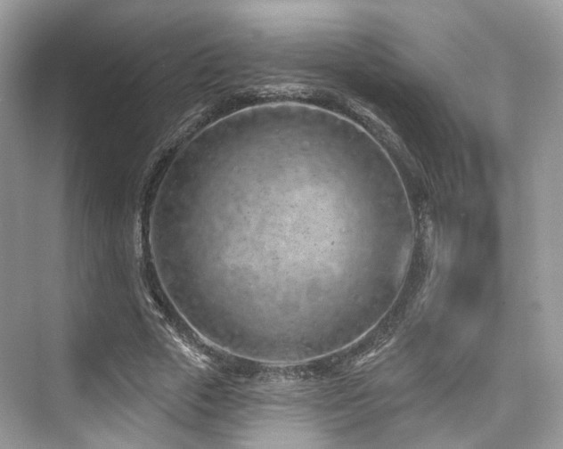 X0000073930729200608111159