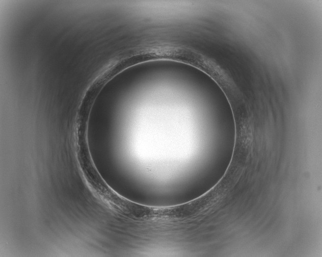 X0000073930730200608111159