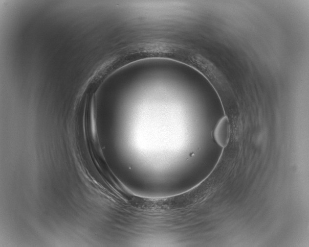 X0000073930731200608111159