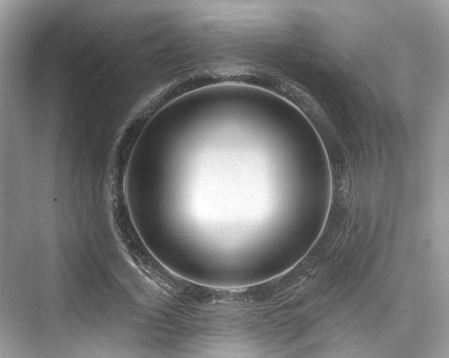 X0000073930732200608111159