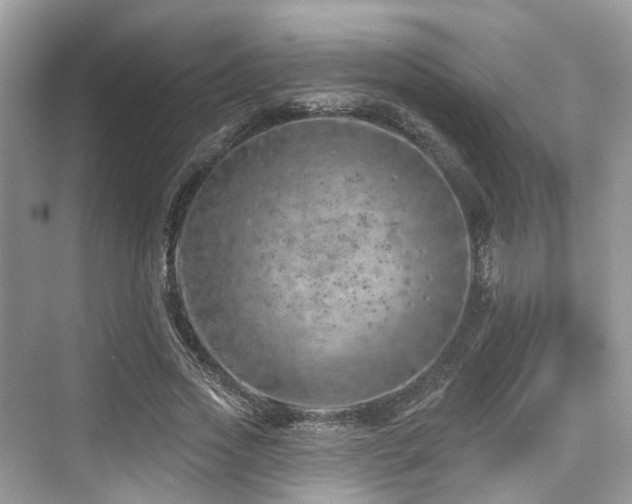 X0000073930733200608111159