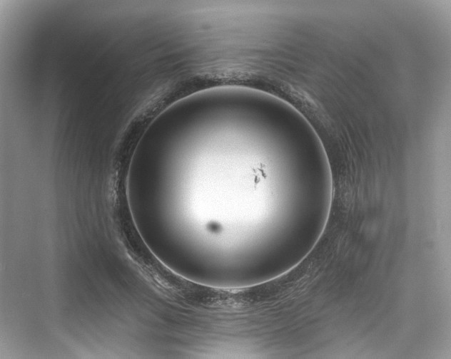 X0000073930735200608111159