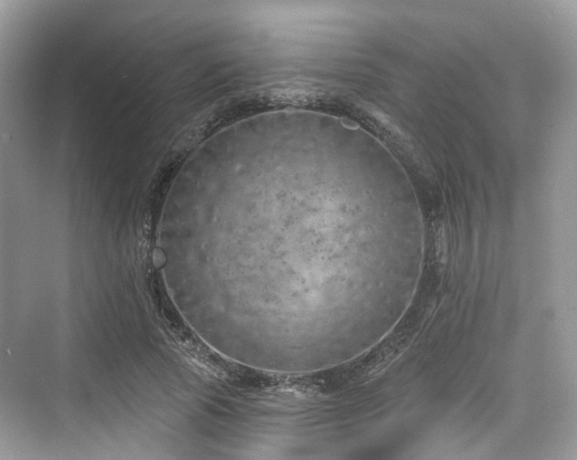 X0000073930737200608111200