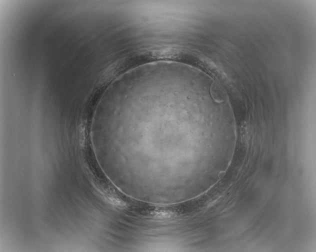 X0000073930741200608111200