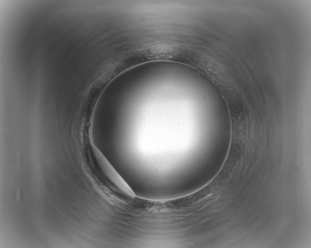 X0000073930742200608111200